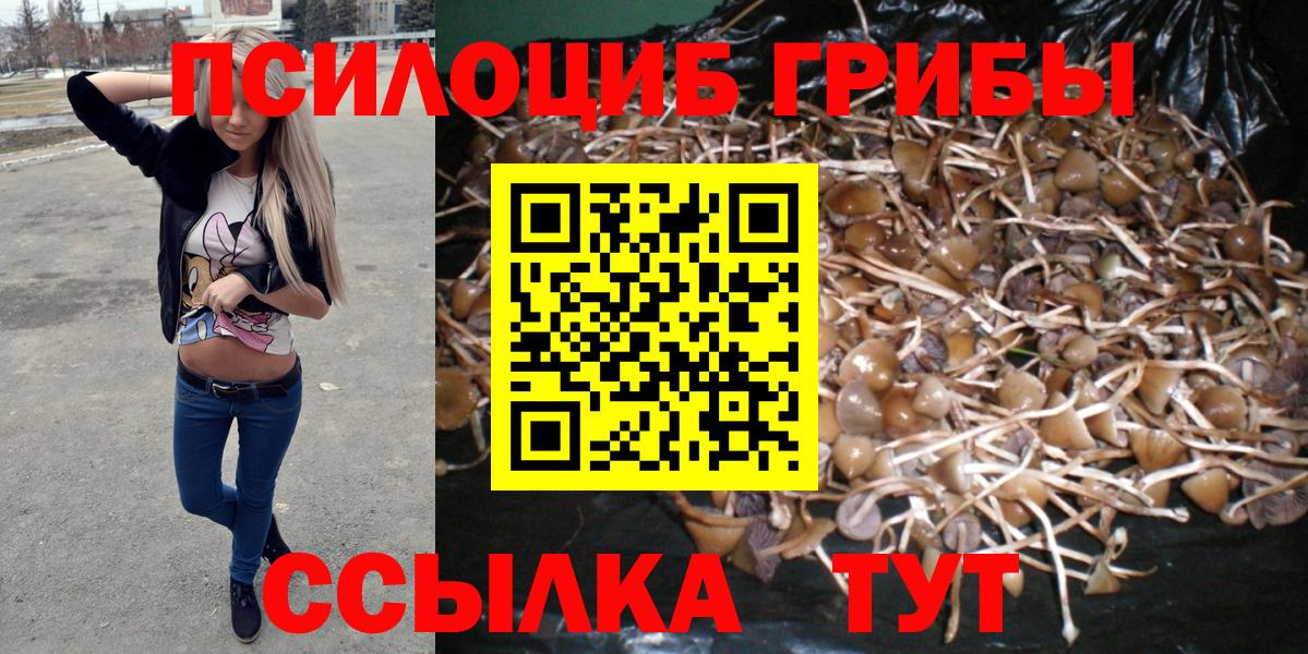 Псилоцибиновые грибы Psilocybine cubensis Ижевск
