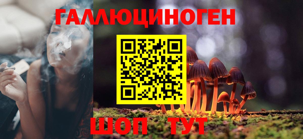 Ижевск  Галлюциногенные грибы Psilocybine cubensis  Вход с VPN 
